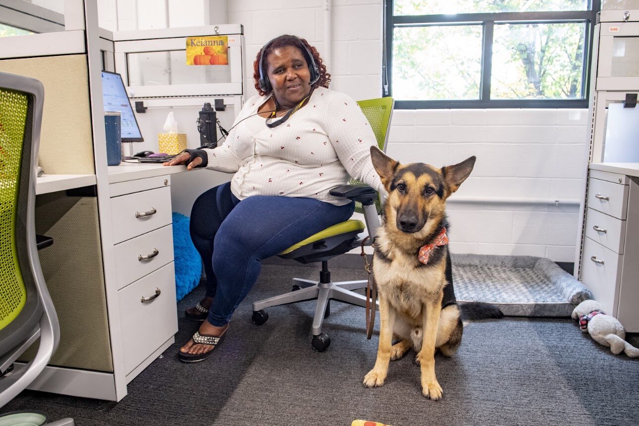 A Lighthouse employee wearing a headset works at her desk while her service dog rests beside her.
